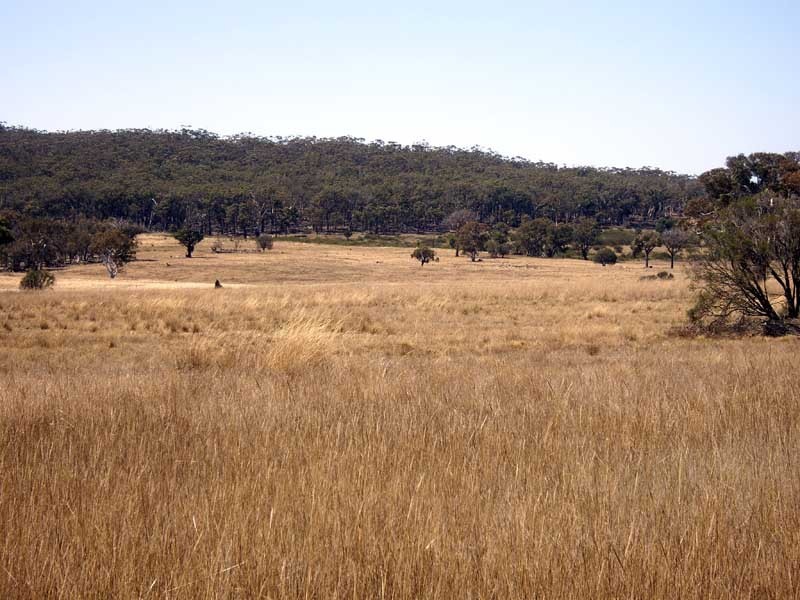 177 Lillyvale Road, Tarago NSW 2580