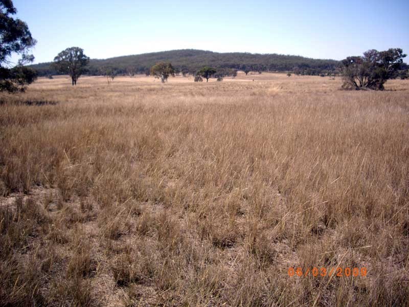 177 Lillyvale Road, Tarago NSW 2580