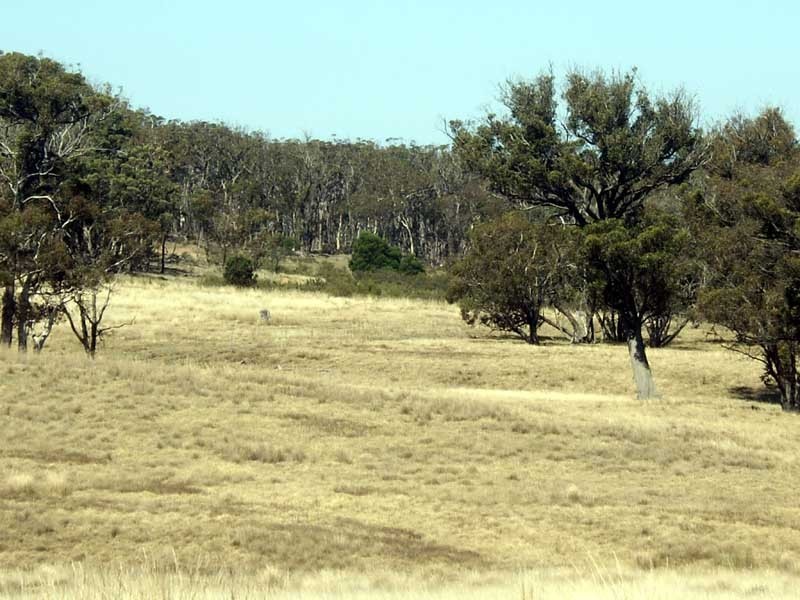 177 Lillyvale Road, Tarago NSW 2580