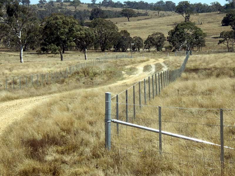 177 Lillyvale Road, Tarago NSW 2580