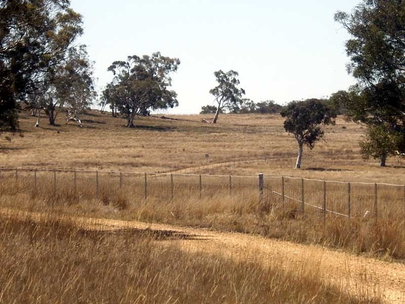 177 Lillyvale Road, Tarago NSW 2580