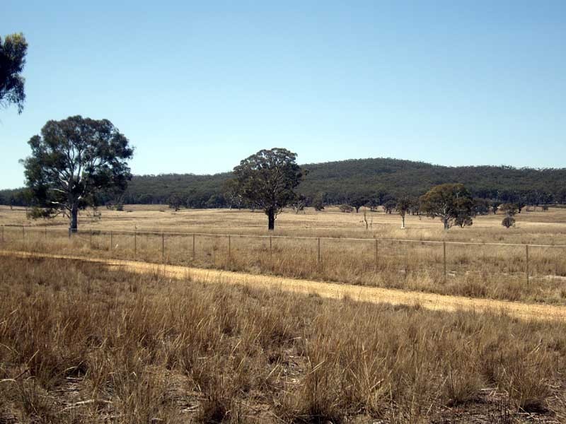 177 Lillyvale Road, Tarago NSW 2580