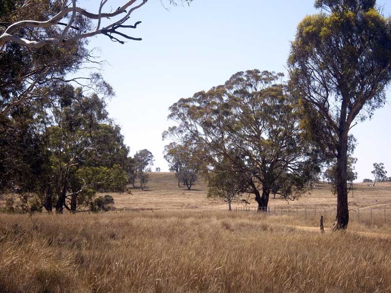 177 Lillyvale Road, Tarago NSW 2580