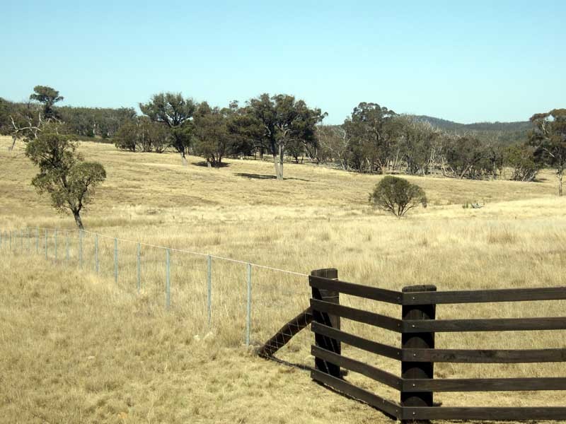 177 Lillyvale Road, Tarago NSW 2580