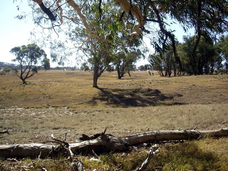 177 Lillyvale Road, Tarago NSW 2580