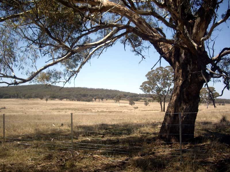 177 Lillyvale Road, Tarago NSW 2580