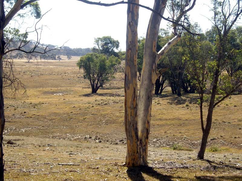 177 Lillyvale Road, Tarago NSW 2580