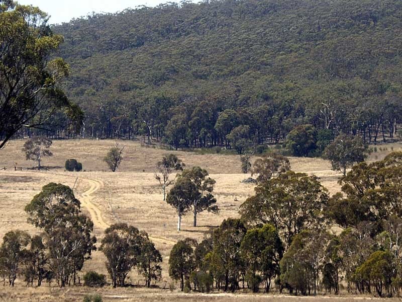 177 Lillyvale Road, Tarago NSW 2580