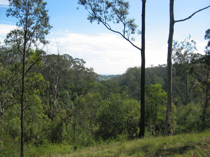 65 Garlicks Range Road, Orangeville NSW 2570