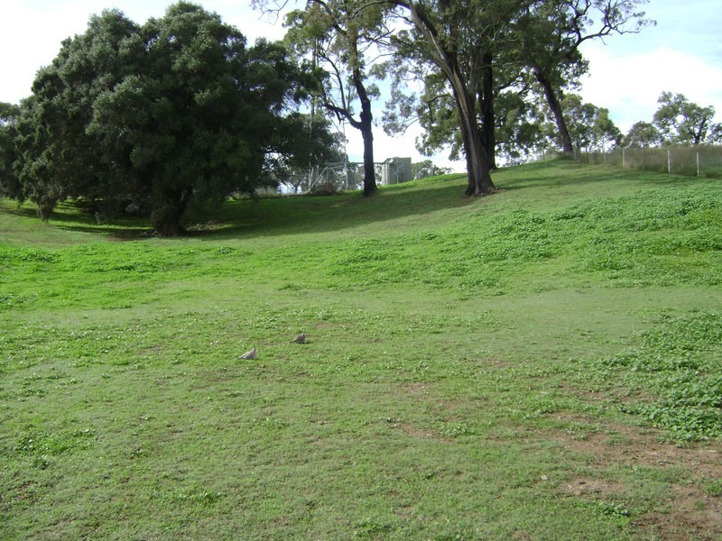 15 (Lot 421)  Jackey Drive, Camden Park NSW 2570
