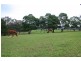 40 Bobs Range Road, Orangeville NSW 2570