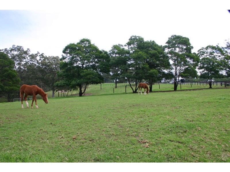 40 Bobs Range Road, Orangeville NSW 2570