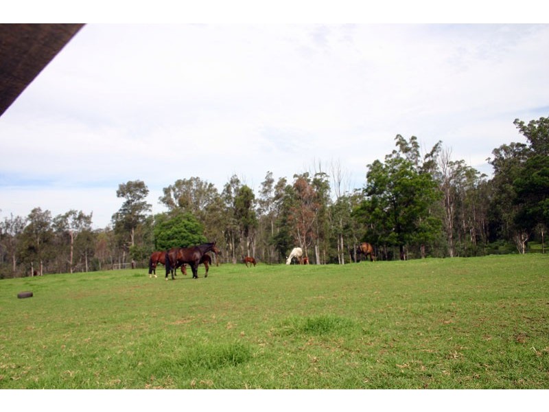 40 Bobs Range Road, Orangeville NSW 2570