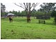 40 Bobs Range Road, Orangeville NSW 2570
