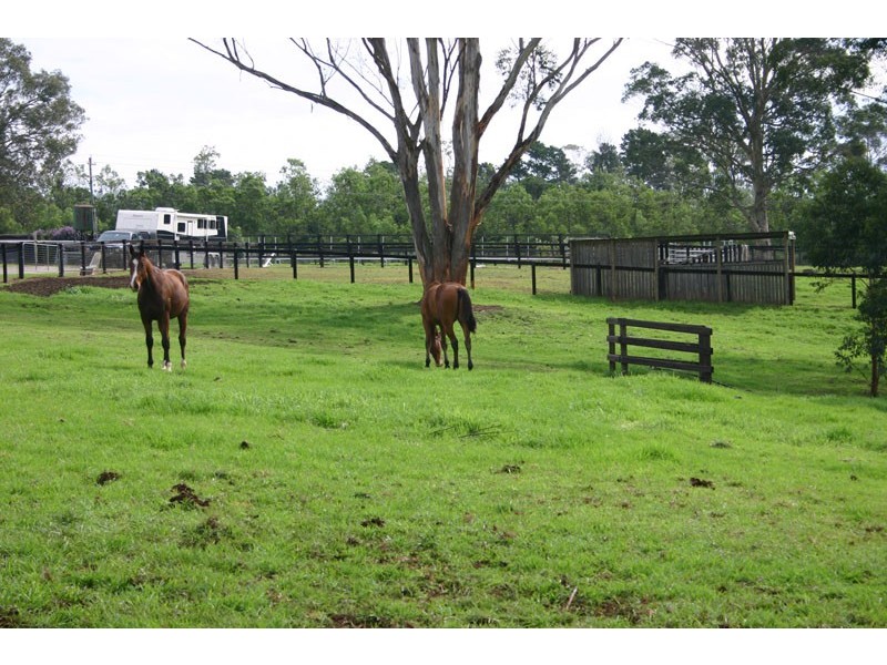 40 Bobs Range Road, Orangeville NSW 2570