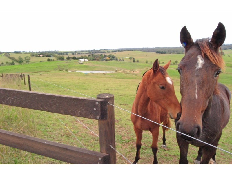 120 Victoria Park Road, The Oaks NSW 2570