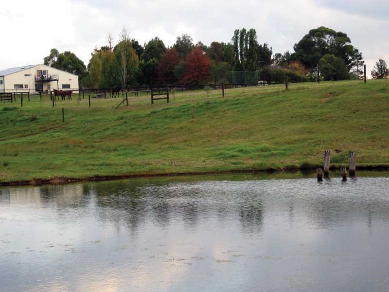 120 Victoria Park Road, The Oaks NSW 2570