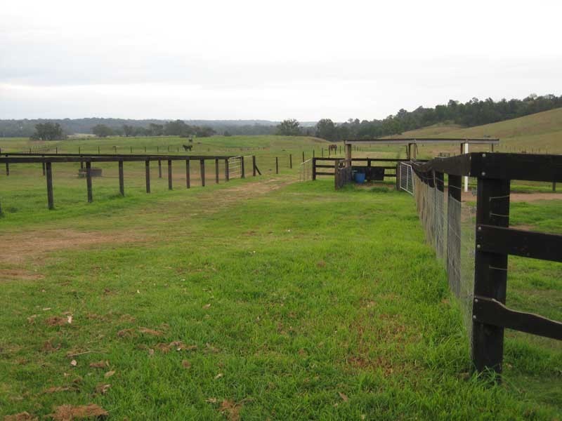 120 Victoria Park Road, The Oaks NSW 2570