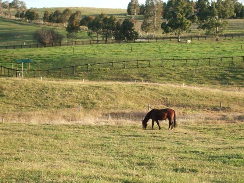 120 Victoria Park Road, The Oaks NSW 2570