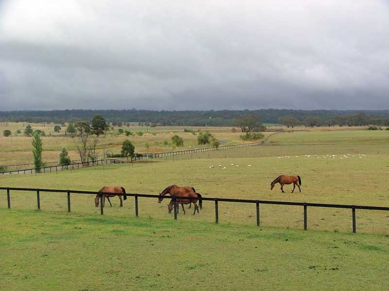 120 Victoria Park Road, The Oaks NSW 2570