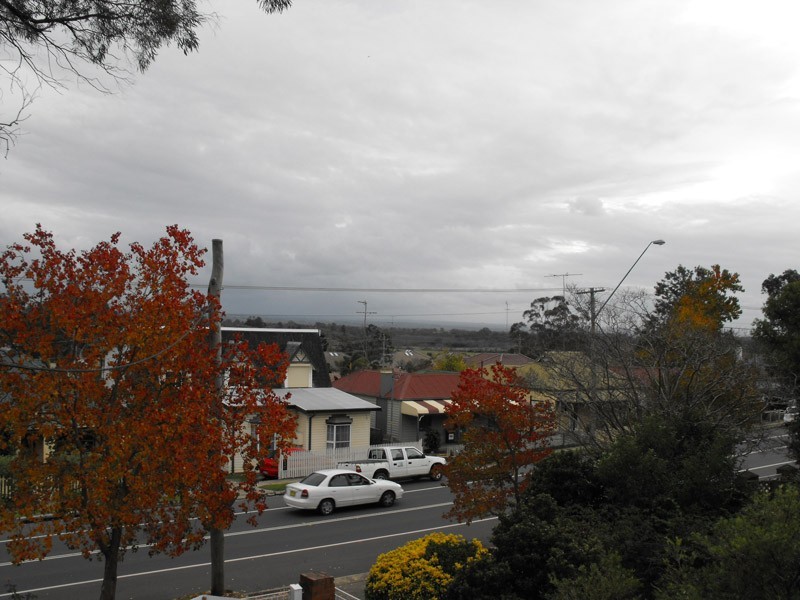 58 Broughton Street, Camden NSW 2570