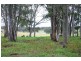 Lot 208 News Road, Werombi NSW 2570