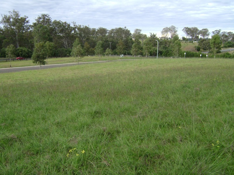 Lot 16 Yewens Circuit, Grasmere NSW 2570
