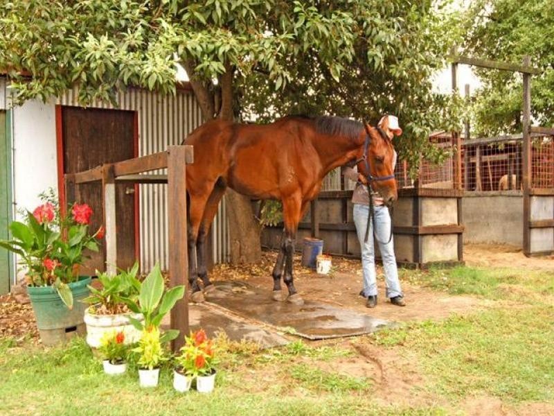 Warwick Farm NSW 2170