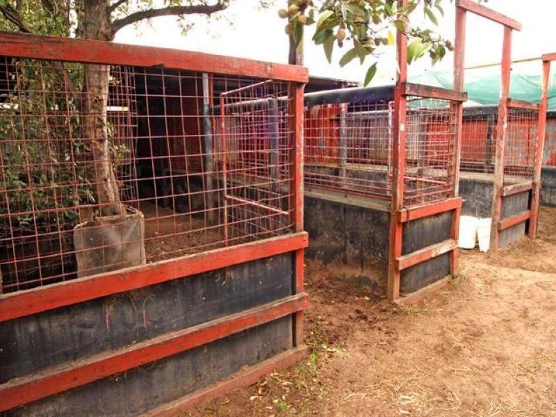 Warwick Farm NSW 2170