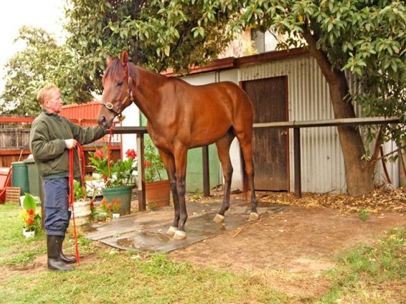 Warwick Farm NSW 2170