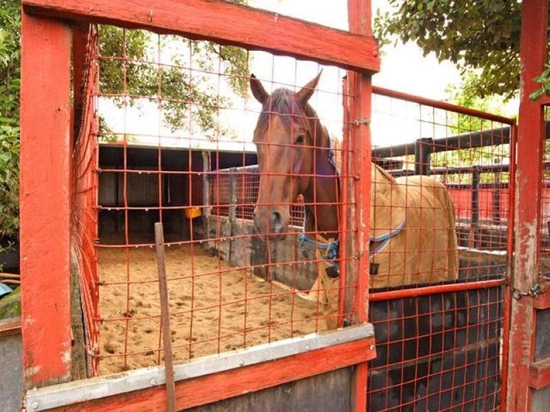 Warwick Farm NSW 2170