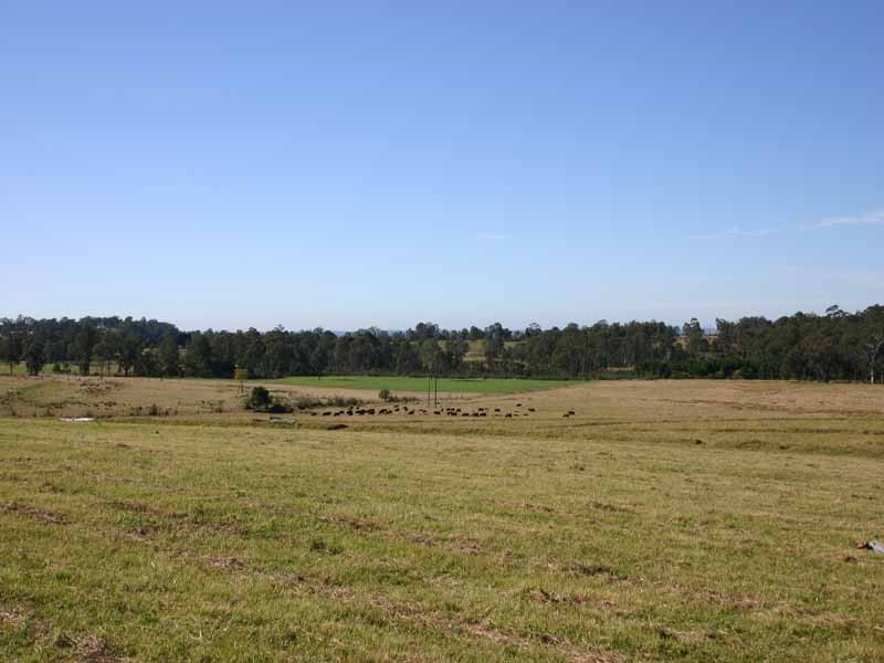 80 Quarry Road, The Oaks NSW 2570