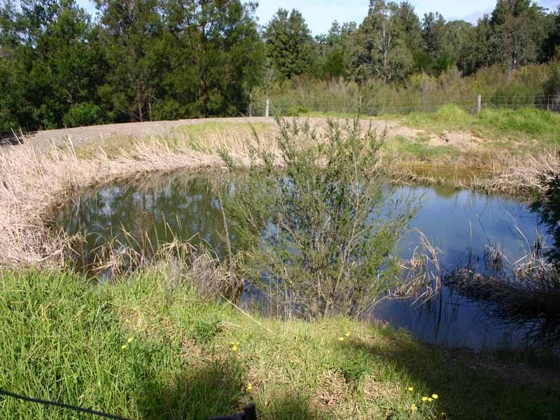 1121 Burragorang Road, Belimbla Park NSW 2570