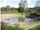 1121 Burragorang Road, Belimbla Park NSW 2570
