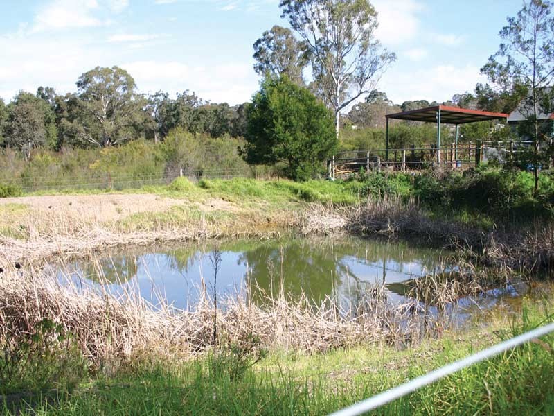 1121 Burragorang Road, Belimbla Park NSW 2570