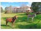 340 May Farm Road, Camden NSW 2570