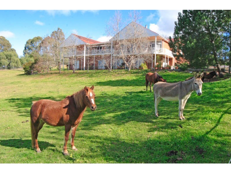 340 May Farm Road, Camden NSW 2570