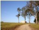 40 Dairy Road, The Oaks NSW 2570