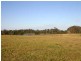40 Dairy Road, The Oaks NSW 2570