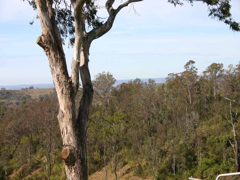 70 Merlin Street, The Oaks NSW 2570