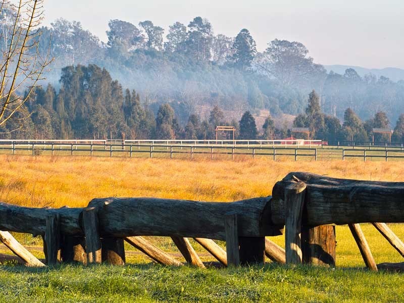 74 Ferguson Lane, Camden NSW 2570
