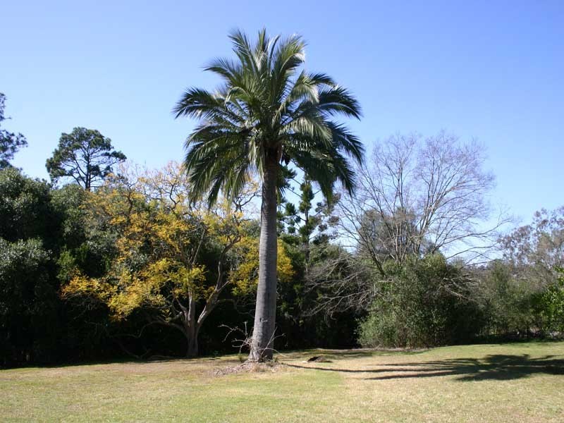 74 Ferguson Lane, Camden NSW 2570