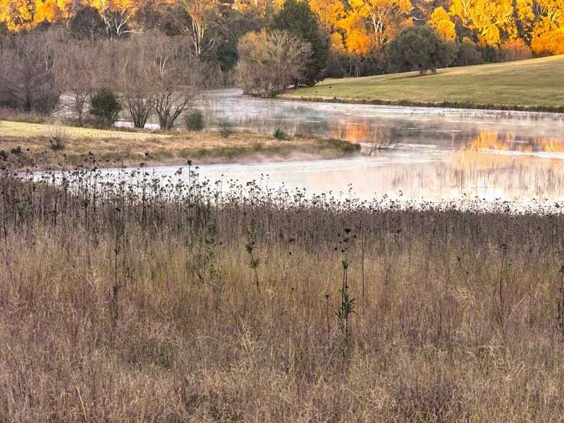 74 Ferguson Lane, Camden NSW 2570