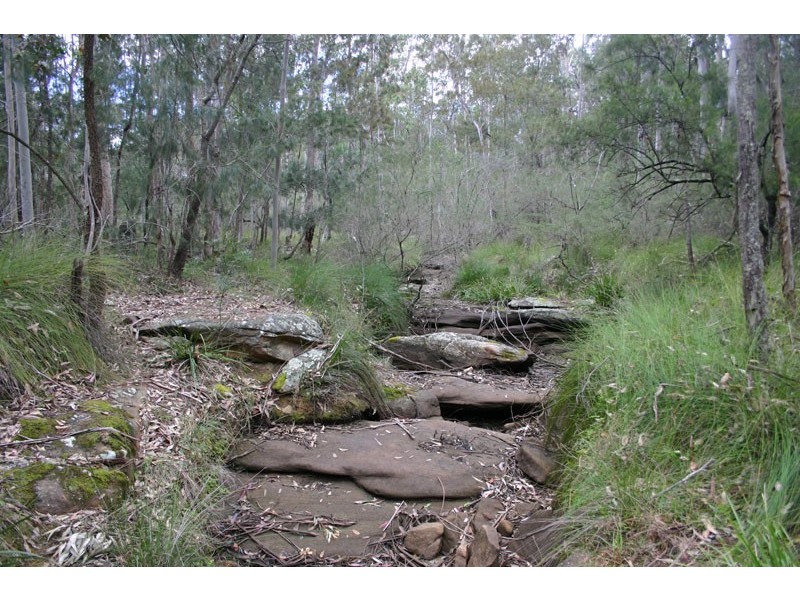 150 Rapleys Loop Road, Werombi NSW 2570