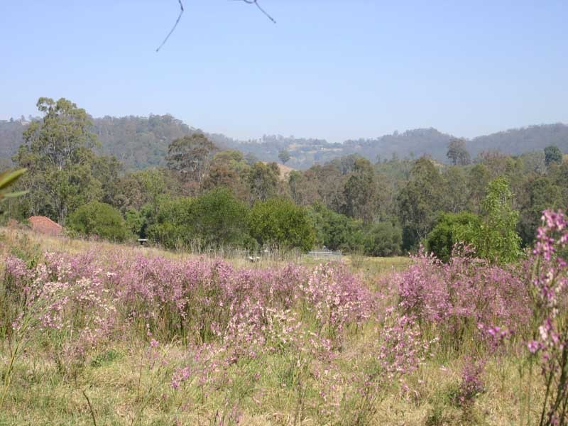 Mount Hunter NSW 2570