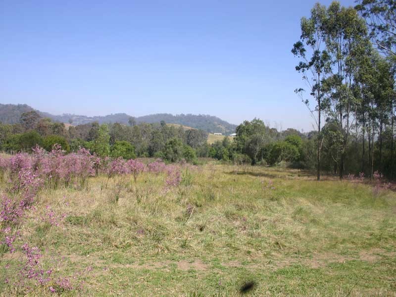 Mount Hunter NSW 2570