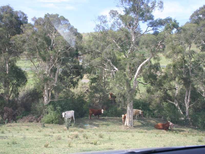 545 Barkers Lodge Road, Picton NSW 2571