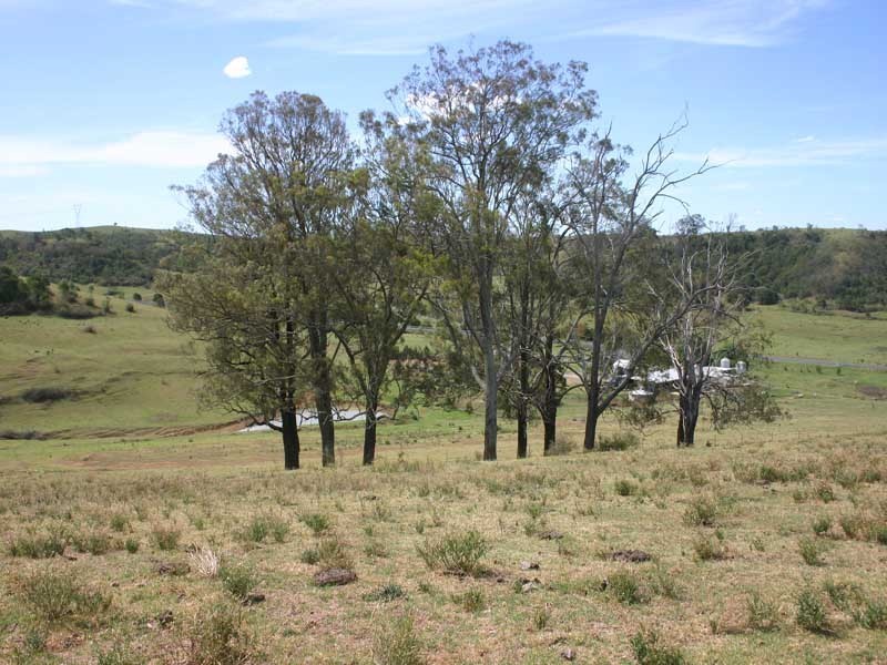 545 Barkers Lodge Road, Picton NSW 2571
