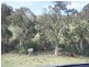 545 Barkers Lodge Road, Picton NSW 2571