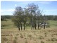 545 Barkers Lodge Road, Picton NSW 2571
